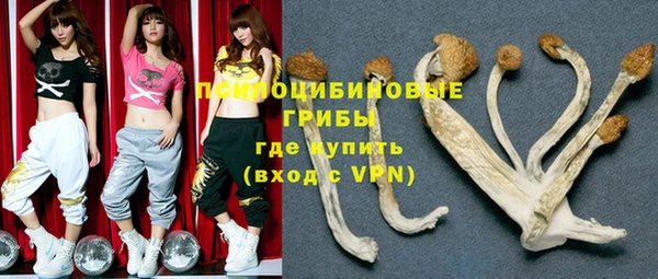 a pvp Алексин