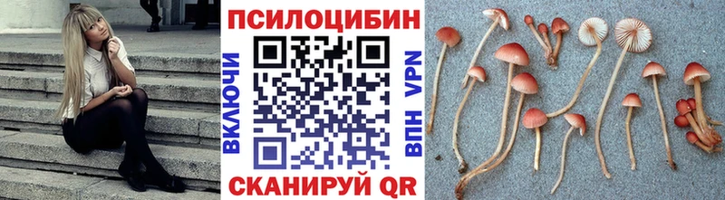 Галлюциногенные грибы прущие грибы Тында