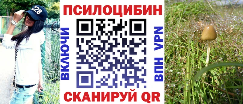 Галлюциногенные грибы Psilocybine cubensis  Тында 